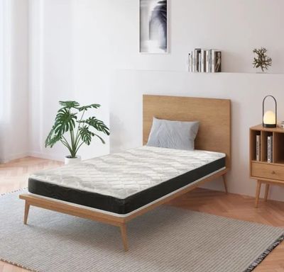 une photo d'une chambre avec un lit et une plante posée par terre