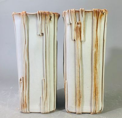 deux vases blancs striés de brun, placés l'un à côté de l'autre