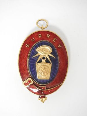 an image of a red and blue badge with a bird on it
