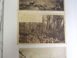 two old photos of a group of animals in a forest