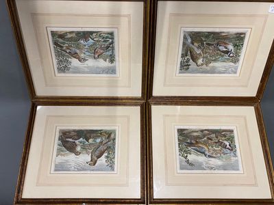 three framed pictures of birds in a snowy forest