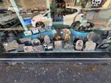 une vitrine dans laquelle sont exposés divers objets