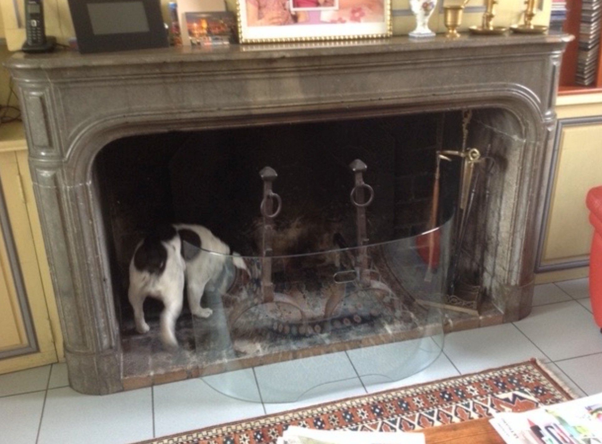 Objets d'art & Curiosités