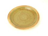 a green plate with a brown rim on a white surface