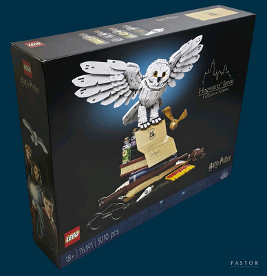 une boîte sur laquelle est posée une chouette en Lego