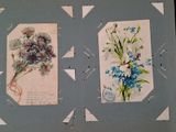 two pictures of flowers on a blue and white background