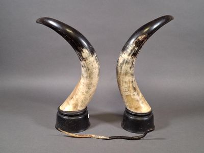 two horns that are sitting on top of each other