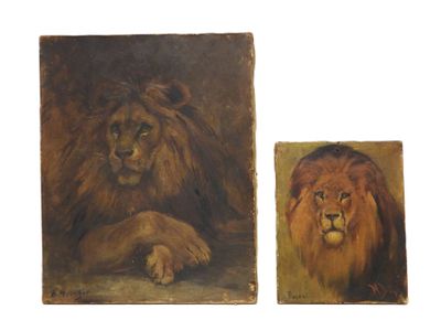 Berthe MOUCHEL (1864-1951). Le lion. Huile sur toile. Signé … - Photo 1