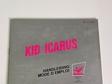 a picture of a picture of a kid icarus book