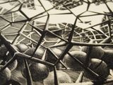 a black and white drawing of a map of a city