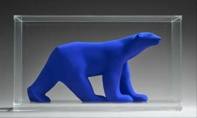 a blue polar bear in a clear box on a table