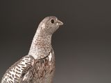 a bird that is sitting on top of a table