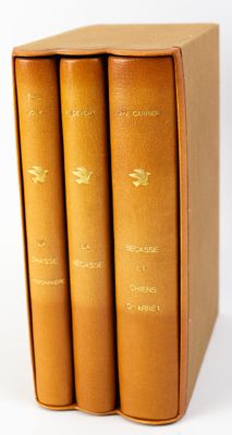 trois livres sont posés dans une boîte sur une surface blanche