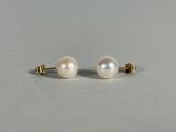 a pair of pearl earrings on a white surface
