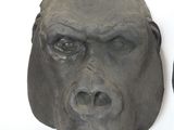 two sculptures of a gorilla head on a white surface