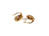 pair of gold plated earrings on white background