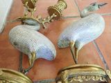 two birds that are standing on the floor