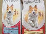 deux sacs de croquettes posés par terre
