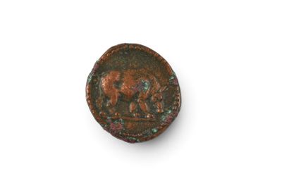 gros plan d'une pièce de monnaie sur laquelle figure un cheval