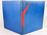 an open blue book with a red feather on the cover