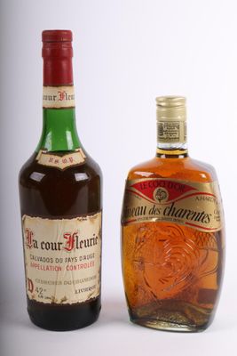 deux bouteilles d'alcool posées l'une à côté de l'autre sur une surface blanche