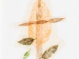 a picture of a leaf and a cross on a piece of paper