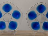 deux vases en verre décorés de fleurs bleues, posés sur une table