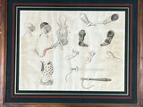 painting of various objects displayed in a wooden frame on a wall