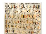 Photo 2/2 du lot