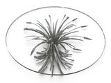 a glass plate with a metal flower on it