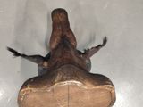 a stuffed alligator that is sitting in a plastic container