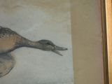 a painting of a duck in a frame hanging on a wall