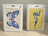 two framed posters of a butterfly and a tiger on a table