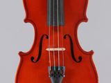 a close up of a violin on a white background