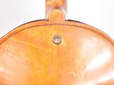 a close up of a violin with a white background