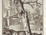 an old book with a picture of a cat and a dog on it