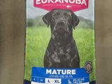 Alimentation Eukanuba pour chiens âgés