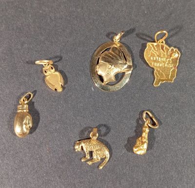 Six pendentifs en or jaune 750 millièmes : carte de la Guyan… - Photo 1