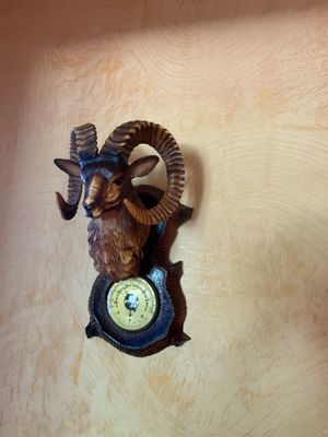 a goat head mounted on a wall with a clock on it