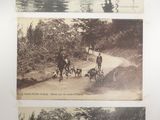 deux vieilles cartes postales représentant des personnes et des chiens au bord d'une rivière