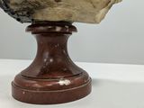 an image of a marble bust of a man on a wooden base