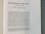 Photo 2/3 du lot