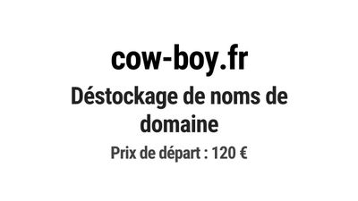 Nom de domaine cow-boy.fr. Catégorie: Art et culture.