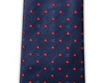 the tie is blue with red dots and a chanel logo on it