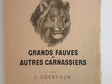 un vieux livre sur lequel est dessiné un lion