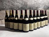 bottles of wine lined up in a row on a table