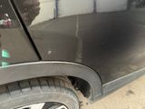 a dog that is standing in front of a car