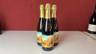 Deux bouteilles de vin sont posées sur un comptoir, avec un mur rouge en arrière-plan.