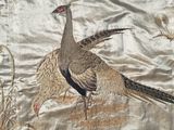 two birds that are sitting on a blanket