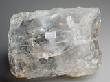 an image of a rock with a sticker on it sitting on a table